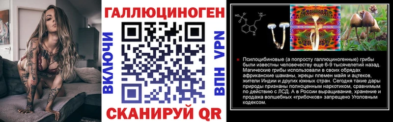 Галлюциногенные грибы GOLDEN TEACHER  где найти наркотики  Агрыз 